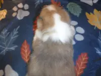 processed/8218d436-66a9-46d6-84a1-0658cf674a8e/listing/f768c71c-29b3-4807-a6a7-16518b06e6a8/d4f189e7-269d-4842-a53f-701ae0410a93