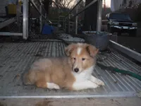 processed/8218d436-66a9-46d6-84a1-0658cf674a8e/listing/f768c71c-29b3-4807-a6a7-16518b06e6a8/f001c2e9-eba9-497d-a488-ca3fa5294b5e