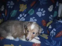 processed/8218d436-66a9-46d6-84a1-0658cf674a8e/listing/f768c71c-29b3-4807-a6a7-16518b06e6a8/fe27371a-94e0-46c9-a734-1520bd8d81e2