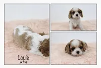 processed/821a27b2-fa1a-4b98-ba55-cc2f15dfd514/listing/45c21f64-5db6-4151-b5ef-174320c129c8/fe353c91-d725-4d8c-84d4-f8ad88e93d3f