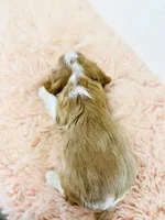 processed/821a27b2-fa1a-4b98-ba55-cc2f15dfd514/listing/b38f6c5c-ece9-4b18-b65a-df0780f0e9c4/25857803-f799-4bbb-9eb9-576ed726e01d