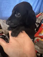 processed/822a2c68-88f1-4b6e-bf09-b3964cb6ec6a/listing/d903501e-4dd1-4789-8c80-6a74c5cafbe0/2f8c7d47-d4eb-4e70-a406-c7a9bb3aa16f