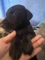 processed/822a2c68-88f1-4b6e-bf09-b3964cb6ec6a/listing/d903501e-4dd1-4789-8c80-6a74c5cafbe0/7262ccca-8ee2-43c5-a981-3266f18a7333