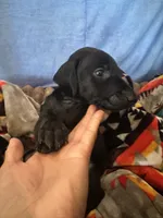 processed/822a2c68-88f1-4b6e-bf09-b3964cb6ec6a/listing/d903501e-4dd1-4789-8c80-6a74c5cafbe0/7e0cb16d-c901-4a28-983a-03194a4512e4