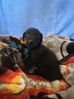 processed/822a2c68-88f1-4b6e-bf09-b3964cb6ec6a/listing/d903501e-4dd1-4789-8c80-6a74c5cafbe0/d8791ba0-bbf6-4557-aef3-f45f3adba40c