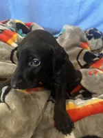 processed/822a2c68-88f1-4b6e-bf09-b3964cb6ec6a/listing/d903501e-4dd1-4789-8c80-6a74c5cafbe0/fa2f5163-8d46-468c-b3e4-be91b767abed