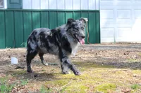 processed/822a736e-4617-4539-9c79-4cf029d92e59/listing/2cc1f3c1-2634-44d4-a24a-6bf6ae6a60ee/6d71fec7-dc7e-4559-a7fa-c1ba389341b4