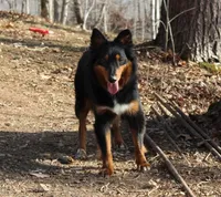 processed/822a736e-4617-4539-9c79-4cf029d92e59/listing/7a41979c-b498-408b-bc31-80dc1c92409a/15224694-c22a-4e0a-a770-bdc8d9185511