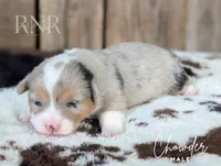 processed/822a736e-4617-4539-9c79-4cf029d92e59/listing/8fa9562f-2502-4082-a952-2f9414648616/2d8f40d8-f55b-48b9-bc52-debdf9d78149