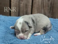 processed/822a736e-4617-4539-9c79-4cf029d92e59/listing/8fa9562f-2502-4082-a952-2f9414648616/e13f750b-8677-4507-be94-47e1091e0d17