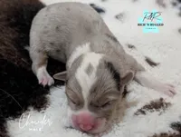 processed/822a736e-4617-4539-9c79-4cf029d92e59/listing/8fa9562f-2502-4082-a952-2f9414648616/e1522ad6-fabf-4c5a-879a-84c944dd1fcf