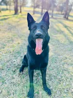 processed/822a736e-4617-4539-9c79-4cf029d92e59/listing/deba4eef-c415-4523-9a52-74c7396d1faa/31aef0ec-d1fc-4860-bb67-d019ead57c35