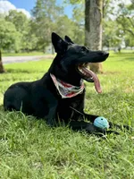 processed/822a736e-4617-4539-9c79-4cf029d92e59/listing/deba4eef-c415-4523-9a52-74c7396d1faa/3e10b341-841e-4f75-822b-ac069f0905e9