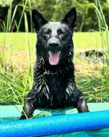 processed/822a736e-4617-4539-9c79-4cf029d92e59/listing/deba4eef-c415-4523-9a52-74c7396d1faa/a0c7ba83-77d8-4c0d-aea7-b0a66b338fc1