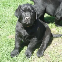 processed/822e9e82-339d-4b39-868c-144edda61dfa/facility/12b7e8bf-a307-431c-afe6-7fb8ab3f7c9d