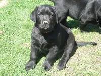 processed/822e9e82-339d-4b39-868c-144edda61dfa/facility/12b7e8bf-a307-431c-afe6-7fb8ab3f7c9d