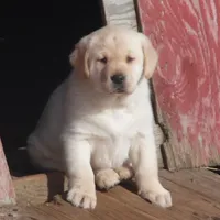 processed/822e9e82-339d-4b39-868c-144edda61dfa/facility/16c1d503-8f7f-4db3-9d33-4b2170e396c0