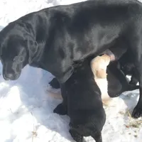 processed/822e9e82-339d-4b39-868c-144edda61dfa/facility/99d5d723-f5a9-43d8-b94a-017c4f000b0d