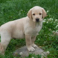 processed/822e9e82-339d-4b39-868c-144edda61dfa/facility/af100ebe-9383-44f1-b302-74c424a22559