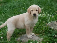 processed/822e9e82-339d-4b39-868c-144edda61dfa/facility/af100ebe-9383-44f1-b302-74c424a22559