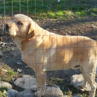 processed/822e9e82-339d-4b39-868c-144edda61dfa/facility/b19f8993-6973-45ca-8f3c-edf60c11c2d9