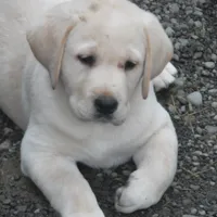 processed/822e9e82-339d-4b39-868c-144edda61dfa/facility/b4bfc2d6-e3f4-4e88-b6e8-72bf376fb044