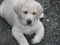 processed/822e9e82-339d-4b39-868c-144edda61dfa/facility/b4bfc2d6-e3f4-4e88-b6e8-72bf376fb044