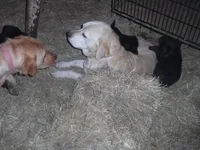 processed/822e9e82-339d-4b39-868c-144edda61dfa/listing/3dfd489c-4a57-43bd-83f5-15ca4c7076f1/34a33319-56a9-483f-bf4a-8fa5f999ce74