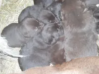 processed/822e9e82-339d-4b39-868c-144edda61dfa/listing/3dfd489c-4a57-43bd-83f5-15ca4c7076f1/4707ddaf-d6f5-4718-8167-19aec49e6461