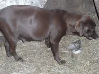 processed/822e9e82-339d-4b39-868c-144edda61dfa/listing/3dfd489c-4a57-43bd-83f5-15ca4c7076f1/795ddd3b-ae3d-47c8-b748-c6911d895372