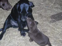 processed/822e9e82-339d-4b39-868c-144edda61dfa/listing/3dfd489c-4a57-43bd-83f5-15ca4c7076f1/85242335-3b26-425e-9b2c-0f5af8f30ade