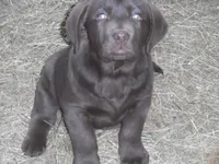 processed/822e9e82-339d-4b39-868c-144edda61dfa/listing/3dfd489c-4a57-43bd-83f5-15ca4c7076f1/caf55fcb-4970-4540-af2f-82ab23599804