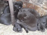 processed/822e9e82-339d-4b39-868c-144edda61dfa/listing/3dfd489c-4a57-43bd-83f5-15ca4c7076f1/d097ccb9-7023-41aa-80fe-30339d6ed94e