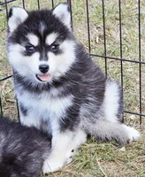 processed/822fcd91-303f-4122-90cb-a4e67c31a75d/listing/05a5cef9-da90-4506-8be7-9694ab842364/0ca8f339-80ab-4494-a3a7-d00c3b97aa09