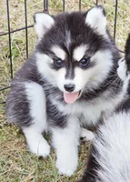 processed/822fcd91-303f-4122-90cb-a4e67c31a75d/listing/05a5cef9-da90-4506-8be7-9694ab842364/8efc5f1b-fe55-4b16-b895-282eabd2232a