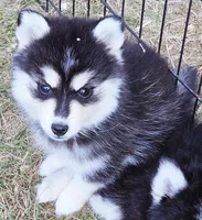 processed/822fcd91-303f-4122-90cb-a4e67c31a75d/listing/05a5cef9-da90-4506-8be7-9694ab842364/d17a8499-62a2-4d8e-a00f-790e1273d623