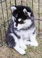 processed/822fcd91-303f-4122-90cb-a4e67c31a75d/listing/05a5cef9-da90-4506-8be7-9694ab842364/eb01da60-4a5c-4972-9419-d475bd89b37a