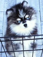 processed/822fcd91-303f-4122-90cb-a4e67c31a75d/listing/2042645b-eb67-4956-b099-4487e2e33dc0/3a866c4f-64db-44ba-9310-03849c83284b