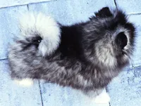 processed/822fcd91-303f-4122-90cb-a4e67c31a75d/listing/2042645b-eb67-4956-b099-4487e2e33dc0/f2cc6ff0-af6c-4b98-8491-0ae85abbb474