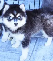 processed/822fcd91-303f-4122-90cb-a4e67c31a75d/listing/376541a9-e776-46d4-8b24-3f052540a76c/db7fa547-07a8-4677-9b70-26c7d061a9a9