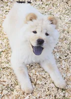 processed/822fcd91-303f-4122-90cb-a4e67c31a75d/listing/e2a6c0db-eaab-4d1d-a53d-82761675b4c3/71a69689-9ef4-4a23-945c-fa103ba2c8a0