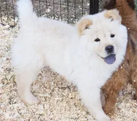 processed/822fcd91-303f-4122-90cb-a4e67c31a75d/listing/e2a6c0db-eaab-4d1d-a53d-82761675b4c3/9211677b-a258-4bd4-8a6a-6014a7990add