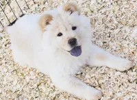 processed/822fcd91-303f-4122-90cb-a4e67c31a75d/listing/e2a6c0db-eaab-4d1d-a53d-82761675b4c3/dc975f53-6be7-44bb-b4a9-d24633ad8df7