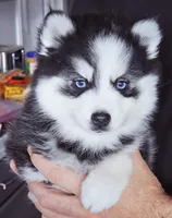 processed/822fcd91-303f-4122-90cb-a4e67c31a75d/listing/ecee3e4b-b61b-4de4-b410-a086b0d0b0dc/94a532b1-1758-4afb-b9e1-c36313552bce