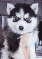 processed/822fcd91-303f-4122-90cb-a4e67c31a75d/listing/f7ef0035-a94e-426f-8df8-76f5ef37436b/600021a3-4940-47cc-926e-6d1fc7d1d805