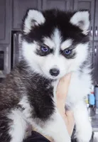 processed/822fcd91-303f-4122-90cb-a4e67c31a75d/listing/f7ef0035-a94e-426f-8df8-76f5ef37436b/da758db6-260a-4a28-8bff-d4ce7a8f084b