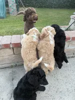 processed/823a2f26-6915-4c37-b203-a19844034dfb/facility/18587fd1-60bb-4d6f-a705-01834d382956