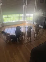 processed/823a2f26-6915-4c37-b203-a19844034dfb/facility/2ca1f057-75cc-4d84-8d1c-788c862b2739