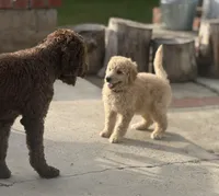 processed/823a2f26-6915-4c37-b203-a19844034dfb/facility/3ed8ad60-0c02-4682-a39f-de14d51555d8