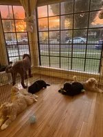 processed/823a2f26-6915-4c37-b203-a19844034dfb/facility/bac7b418-02f4-449a-9b68-4286ea8c2b9a